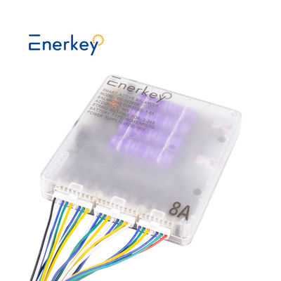 주문 Enerkey 8A 2-24S 배터리 셀 밸런서 Lifepo4 액티브 셀 밸런서 CAN 통신 포트 포함 온라인 제조